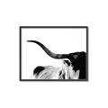 Picture of Max, the Bull _GroupedProduct_Rectangle_Landscape_Photography _GroupedProduct_Rectangle_Landscape_Canvas_Framed_