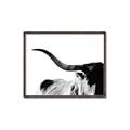 Picture of Max, the Bull _GroupedProduct_Rectangle_Landscape_Photography _GroupedProduct_Rectangle_Landscape_Canvas_Framed_