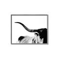 Picture of Max, the Bull _GroupedProduct_Rectangle_Landscape_Photography _GroupedProduct_Rectangle_Landscape_Canvas_Framed_