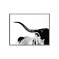 Picture of Max, the Bull _GroupedProduct_Rectangle_Landscape_Photography _GroupedProduct_Rectangle_Landscape_Canvas_Framed_