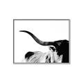 Picture of Max, the Bull _GroupedProduct_Rectangle_Landscape_Photography _GroupedProduct_Rectangle_Landscape_Canvas_Framed_