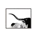 Picture of Max, the Bull _GroupedProduct_Rectangle_Landscape_Photography _GroupedProduct_Rectangle_Landscape_Canvas_Framed_