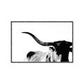 Picture of Max, the Bull _GroupedProduct_Rectangle_Landscape_Photography _GroupedProduct_Rectangle_Landscape_Canvas_Framed_