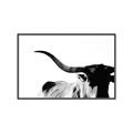 Picture of Max, the Bull _GroupedProduct_Rectangle_Landscape_Photography _GroupedProduct_Rectangle_Landscape_Canvas_Framed_