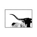 Picture of Max, the Bull _GroupedProduct_Rectangle_Landscape_Photography _GroupedProduct_Rectangle_Landscape_Canvas_Framed_