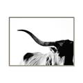 Picture of Max, the Bull _GroupedProduct_Rectangle_Landscape_Photography _GroupedProduct_Rectangle_Landscape_Canvas_Framed_