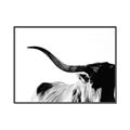 Picture of Max, the Bull _GroupedProduct_Rectangle_Landscape_Photography _GroupedProduct_Rectangle_Landscape_Canvas_Framed_