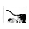Picture of Max, the Bull _GroupedProduct_Rectangle_Landscape_Photography _GroupedProduct_Rectangle_Landscape_Canvas_Framed_