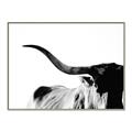 Picture of Max, the Bull _GroupedProduct_Rectangle_Landscape_Photography _GroupedProduct_Rectangle_Landscape_Canvas_Framed_