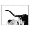 Picture of Max, the Bull _GroupedProduct_Rectangle_Landscape_Photography _GroupedProduct_Rectangle_Landscape_Canvas_Framed_