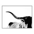 Picture of Max, the Bull _GroupedProduct_Rectangle_Landscape_Photography _GroupedProduct_Rectangle_Landscape_Canvas_Framed_