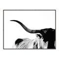 Picture of Max, the Bull _GroupedProduct_Rectangle_Landscape_Photography _GroupedProduct_Rectangle_Landscape_Canvas_Framed_