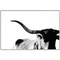 Picture of Max, the Bull _GroupedProduct_Rectangle_Landscape_Photography _GroupedProduct_Rectangle_Landscape_Canvas_Framed_