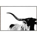 Picture of Max, the Bull _GroupedProduct_Rectangle_Landscape_Photography _GroupedProduct_Rectangle_Landscape_Canvas_Framed_