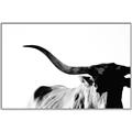 Picture of Max, the Bull _GroupedProduct_Rectangle_Landscape_Photography _GroupedProduct_Rectangle_Landscape_Canvas_Framed_