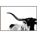 Picture of Max, the Bull _GroupedProduct_Rectangle_Landscape_Photography _GroupedProduct_Rectangle_Landscape_Canvas_Framed_