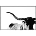 Picture of Max, the Bull _GroupedProduct_Rectangle_Landscape_Photography _GroupedProduct_Rectangle_Landscape_Canvas_Framed_