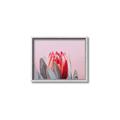 Picture of Mid Bloom _GroupedProduct_Rectangle_Landscape_Photography _GroupedProduct_Rectangle_Landscape_Canvas_Framed_