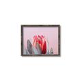 Picture of Mid Bloom _GroupedProduct_Rectangle_Landscape_Photography _GroupedProduct_Rectangle_Landscape_Canvas_Framed_