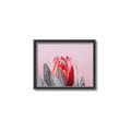 Picture of Mid Bloom _GroupedProduct_Rectangle_Landscape_Photography _GroupedProduct_Rectangle_Landscape_Canvas_Framed_
