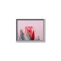 Picture of Mid Bloom _GroupedProduct_Rectangle_Landscape_Photography _GroupedProduct_Rectangle_Landscape_Canvas_Framed_