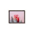 Picture of Mid Bloom _GroupedProduct_Rectangle_Landscape_Photography _GroupedProduct_Rectangle_Landscape_Canvas_Framed_