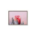 Picture of Mid Bloom _GroupedProduct_Rectangle_Landscape_Photography _GroupedProduct_Rectangle_Landscape_Canvas_Framed_