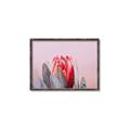 Picture of Mid Bloom _GroupedProduct_Rectangle_Landscape_Photography _GroupedProduct_Rectangle_Landscape_Canvas_Framed_