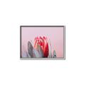 Picture of Mid Bloom _GroupedProduct_Rectangle_Landscape_Photography _GroupedProduct_Rectangle_Landscape_Canvas_Framed_