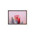 Picture of Mid Bloom _GroupedProduct_Rectangle_Landscape_Photography _GroupedProduct_Rectangle_Landscape_Canvas_Framed_