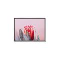Picture of Mid Bloom _GroupedProduct_Rectangle_Landscape_Photography _GroupedProduct_Rectangle_Landscape_Canvas_Framed_
