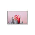 Picture of Mid Bloom _GroupedProduct_Rectangle_Landscape_Photography _GroupedProduct_Rectangle_Landscape_Canvas_Framed_