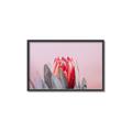 Picture of Mid Bloom _GroupedProduct_Rectangle_Landscape_Photography _GroupedProduct_Rectangle_Landscape_Canvas_Framed_
