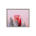Picture of Mid Bloom _GroupedProduct_Rectangle_Landscape_Photography _GroupedProduct_Rectangle_Landscape_Canvas_Framed_