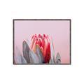 Picture of Mid Bloom _GroupedProduct_Rectangle_Landscape_Photography _GroupedProduct_Rectangle_Landscape_Canvas_Framed_