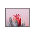 Picture of Mid Bloom _GroupedProduct_Rectangle_Landscape_Photography _GroupedProduct_Rectangle_Landscape_Canvas_Framed_