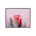 Picture of Mid Bloom _GroupedProduct_Rectangle_Landscape_Photography _GroupedProduct_Rectangle_Landscape_Canvas_Framed_