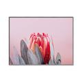 Picture of Mid Bloom _GroupedProduct_Rectangle_Landscape_Photography _GroupedProduct_Rectangle_Landscape_Canvas_Framed_