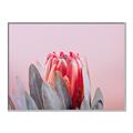 Picture of Mid Bloom _GroupedProduct_Rectangle_Landscape_Photography _GroupedProduct_Rectangle_Landscape_Canvas_Framed_