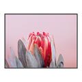 Picture of Mid Bloom _GroupedProduct_Rectangle_Landscape_Photography _GroupedProduct_Rectangle_Landscape_Canvas_Framed_