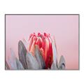 Picture of Mid Bloom _GroupedProduct_Rectangle_Landscape_Photography _GroupedProduct_Rectangle_Landscape_Canvas_Framed_