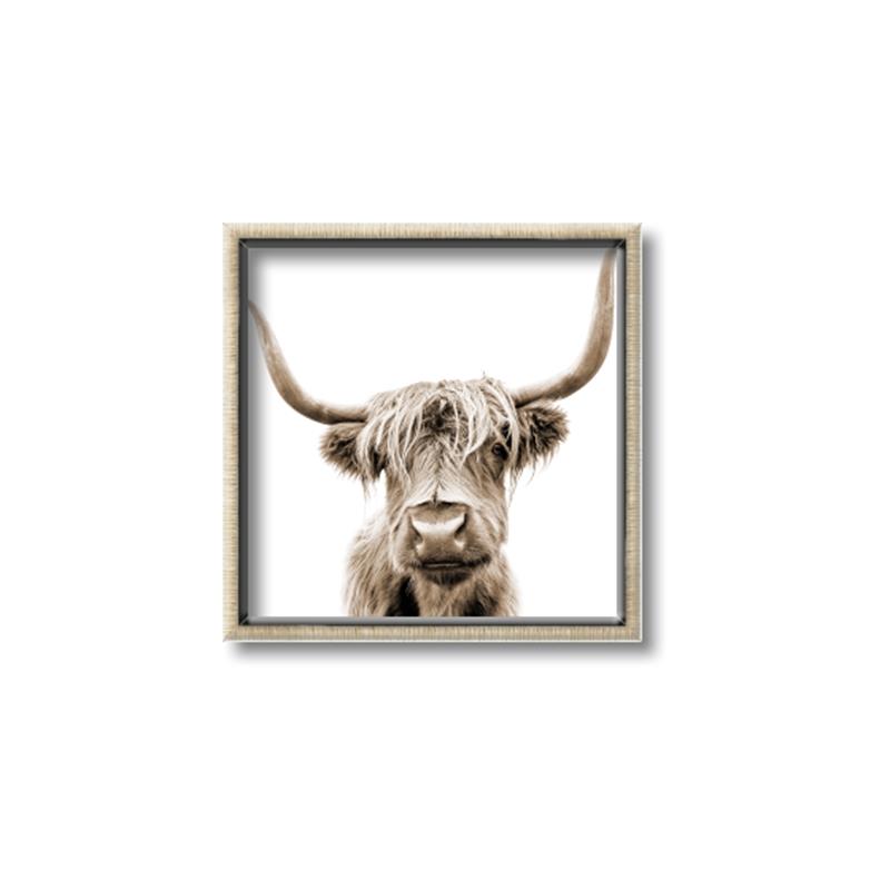 Picture of Minnie _GroupedProduct_Square_Photography _GroupedProduct_Square_Canvas_Framed_