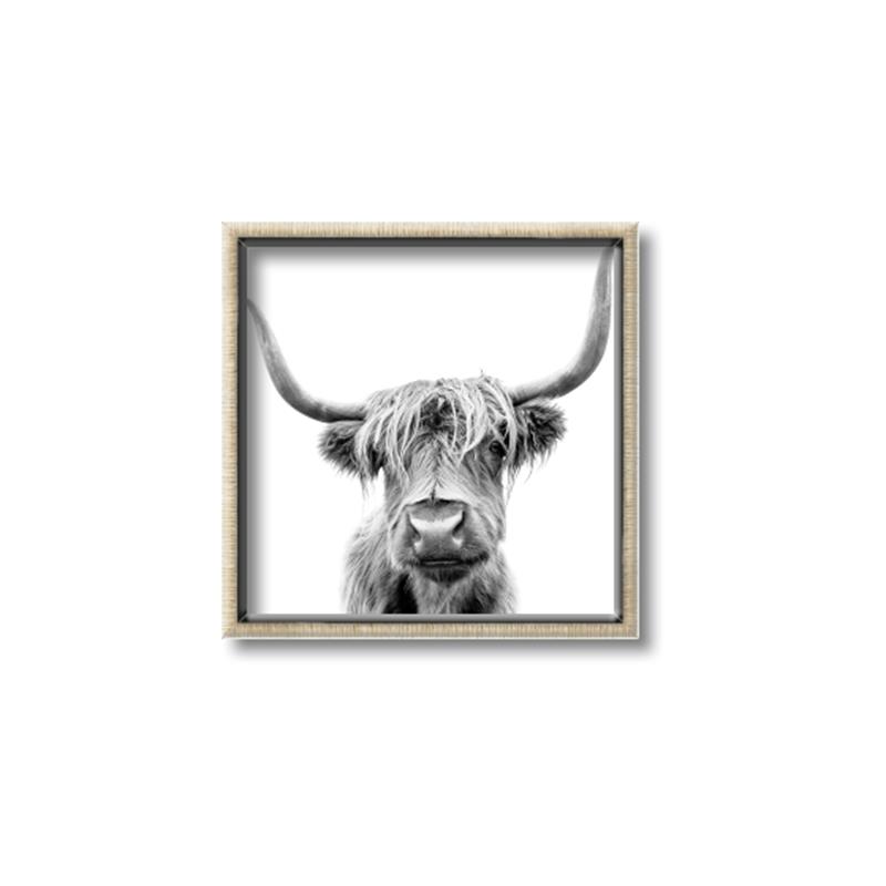 Picture of Minnie II _GroupedProduct_Square_Photography _GroupedProduct_Square_Canvas_Framed_