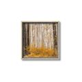 Picture of Mustard Forest _GroupedProduct_Square_Photography _GroupedProduct_Square_Canvas_Framed_