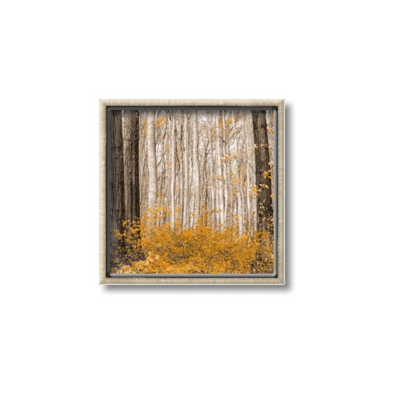 Picture of Mustard Forest _GroupedProduct_Square_Photography _GroupedProduct_Square_Canvas_Framed_