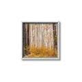 Picture of Mustard Forest _GroupedProduct_Square_Photography _GroupedProduct_Square_Canvas_Framed_