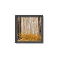 Picture of Mustard Forest _GroupedProduct_Square_Photography _GroupedProduct_Square_Canvas_Framed_
