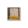 Picture of Mustard Forest _GroupedProduct_Square_Photography _GroupedProduct_Square_Canvas_Framed_