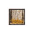 Picture of Mustard Forest _GroupedProduct_Square_Photography _GroupedProduct_Square_Canvas_Framed_