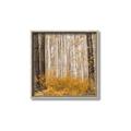 Picture of Mustard Forest _GroupedProduct_Square_Photography _GroupedProduct_Square_Canvas_Framed_